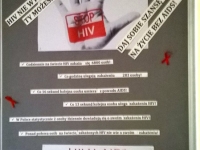 swiatowy_dz_walki_aids (5)
